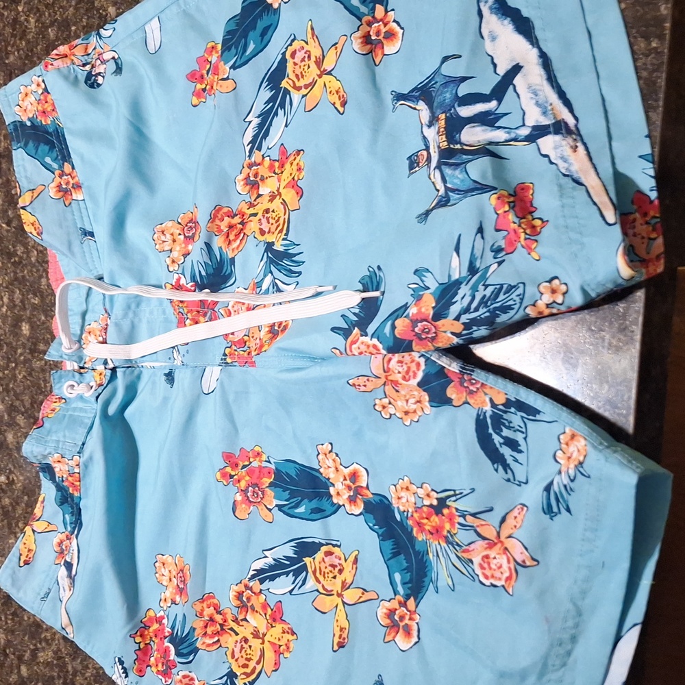 DC Comics Batman and Robin Swim Trunks size XL FUN